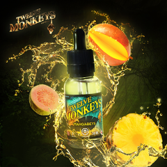 Twelve Monkeys Mangabeys Aroma Ver.